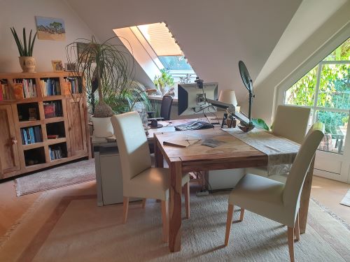 Büro Heike Hämer Besprechungstisch